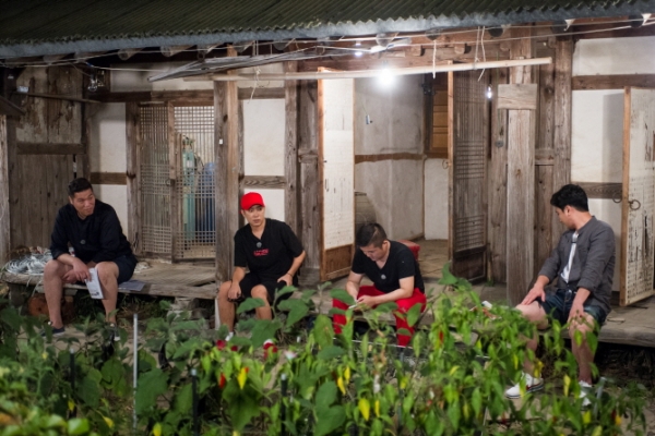 ▲‘꽃놀이패’ 서장훈 은지원 조세호 안정환(좌측부터 순서대로)(사진=SBS)