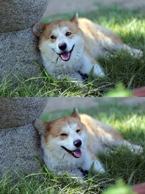 (사진=tvN '삼시세끼' 페이스북)