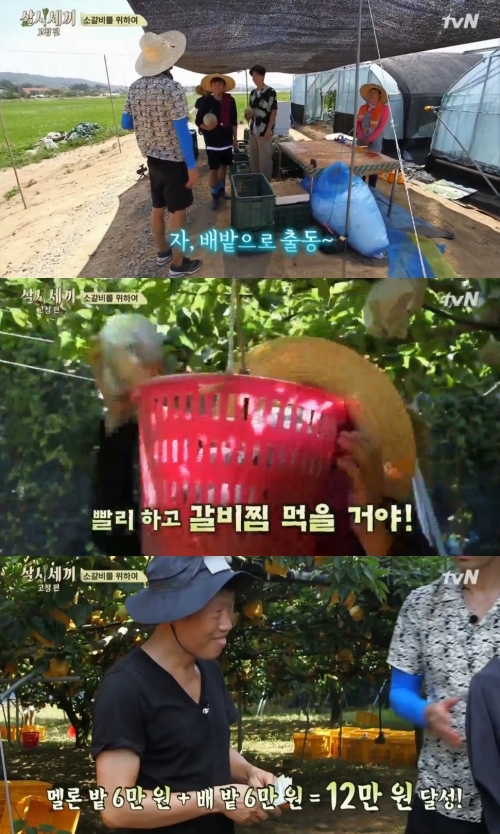 (사진=tvN '삼시세끼')