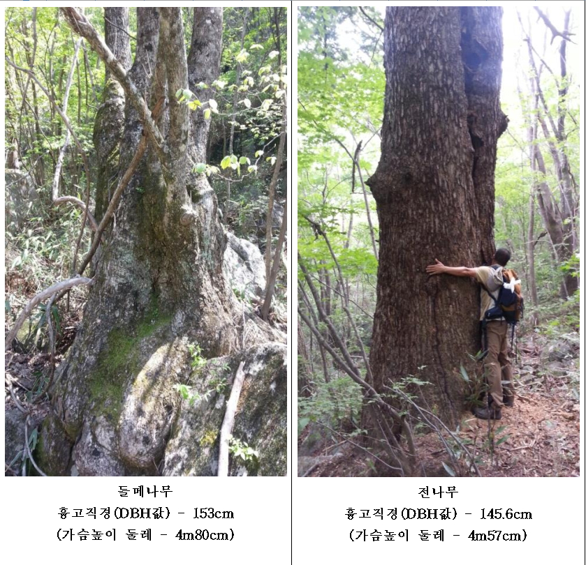 (사진=국립공원관리공단)