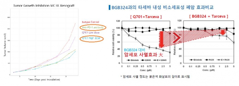▲PD-1타깃 항체 대비 high dose에서 유사한 효능을 나타내는 Q701(왼), BGB324과의 타세바 내성 비소세포성 폐암 효과비교(오)
출처: 회사제공
