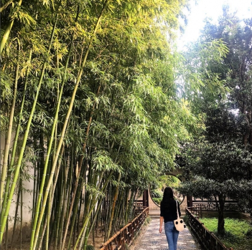 (사진=하연주 인스타그램)