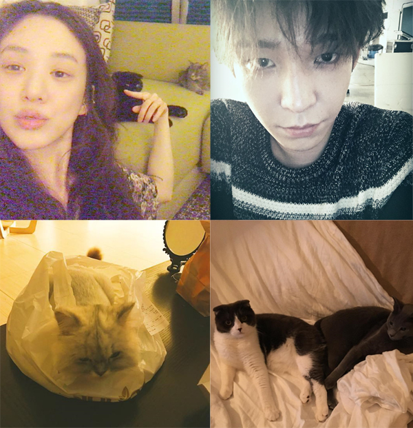 ▲18일 정려원과 남태현이 열애설에 휩싸였다.(사진=정려원 남태현 인스타그램)