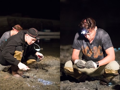 ▲'삼시세끼 어촌편3' (tvN )