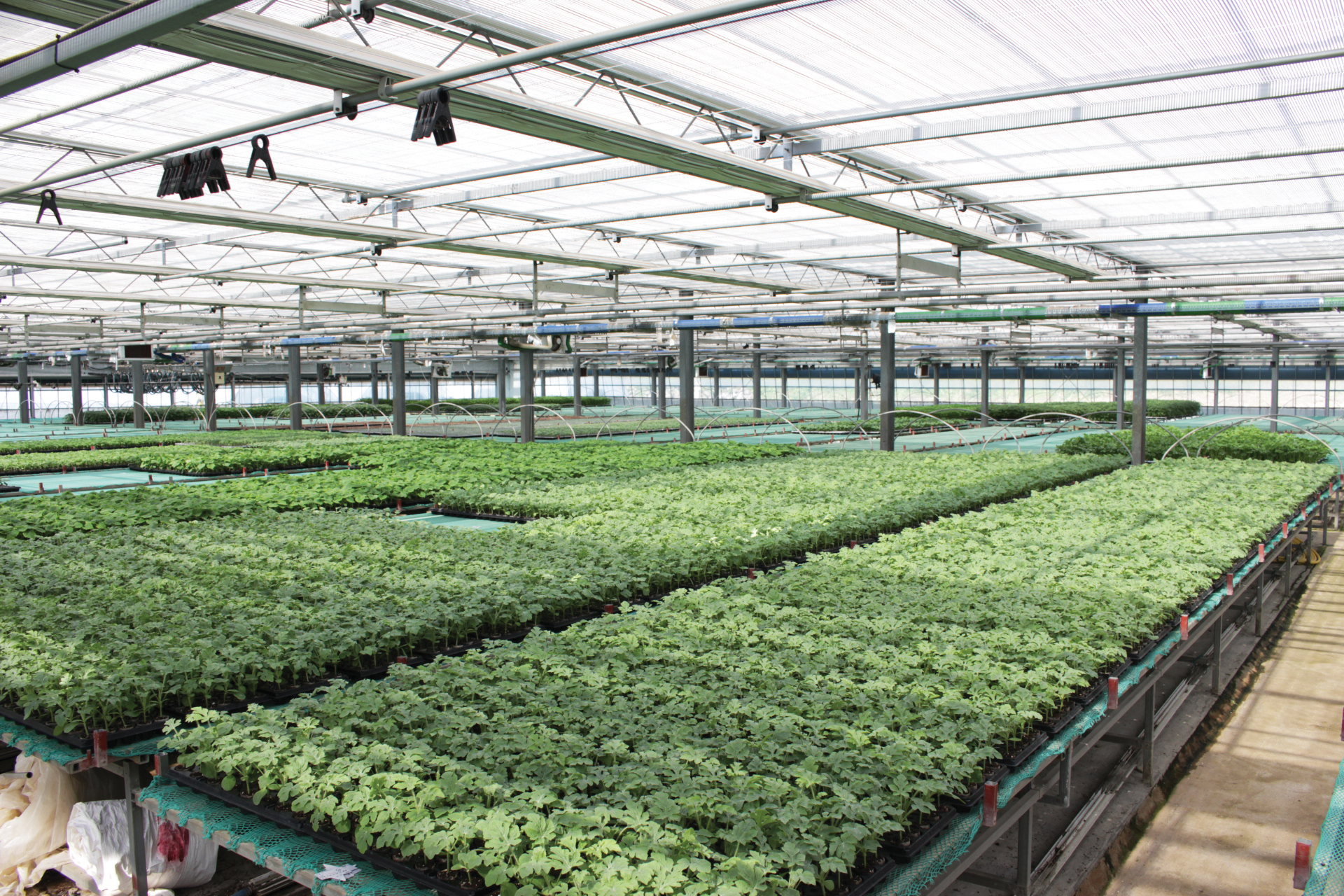 ▲사계절 육묘장(농림축산식품부)