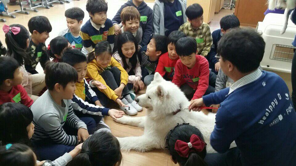▲1일 경기도 오마초교에서 열린 ‘Healppy Dog 프로그램’에서 학생들이 애완견과 즐거운 시간을 보내고 있다.(경기도교육청)