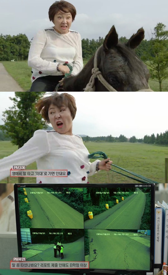 ▲'막돼먹은영애씨' 최순실-정유라 사건 풍자(tvN)