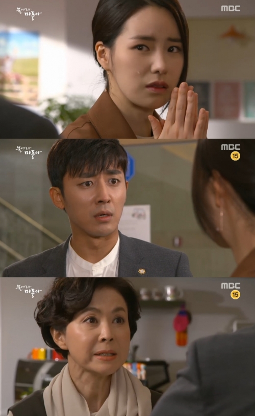 (사진=MBC '불어라 미풍아')