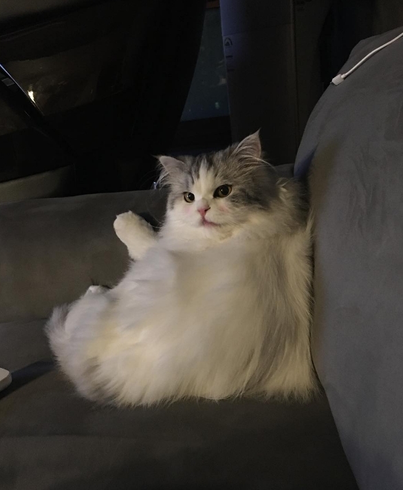 (▲윤균상 인스타그램 '삼시세끼')