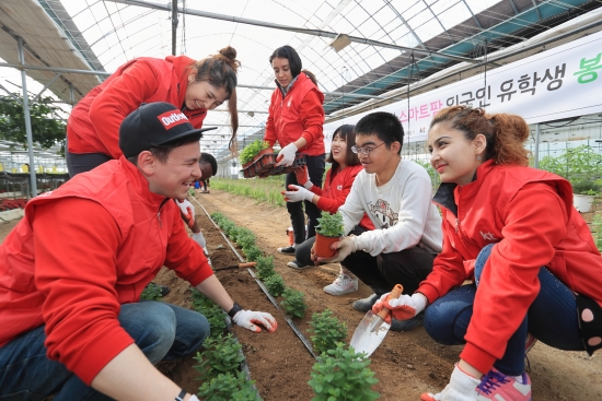 ▲KT 드림스쿨 외국인 유학생 멘토가 남양주 장애인 맞춤형 스마트팜 봉사활동에 참여해 장애인들과 함께 허브 잎 따기, 허브 모종 심기 및 상토 작업 봉사활동을 하고 있는 모습.(사진제공= KT)