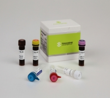 ▲PANA RealTyper HPV kit