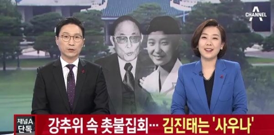 (▲채널A 뉴스, 김진태 새누리당의원)