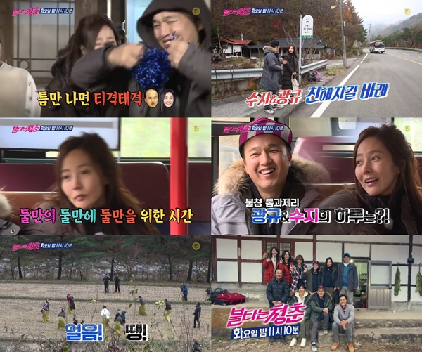 (사진=SBS '불타는 청춘')