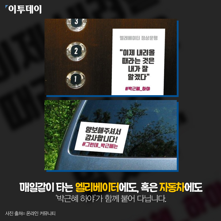 [카드뉴스 팡팡] 일상속에 번진 “박근혜는 하야하라”