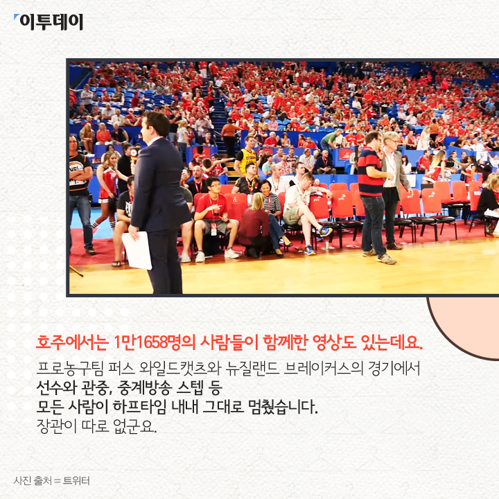 [카드뉴스 팡팡] '그대로 멈춰라' 마네킹 챌린지는 뭘까?