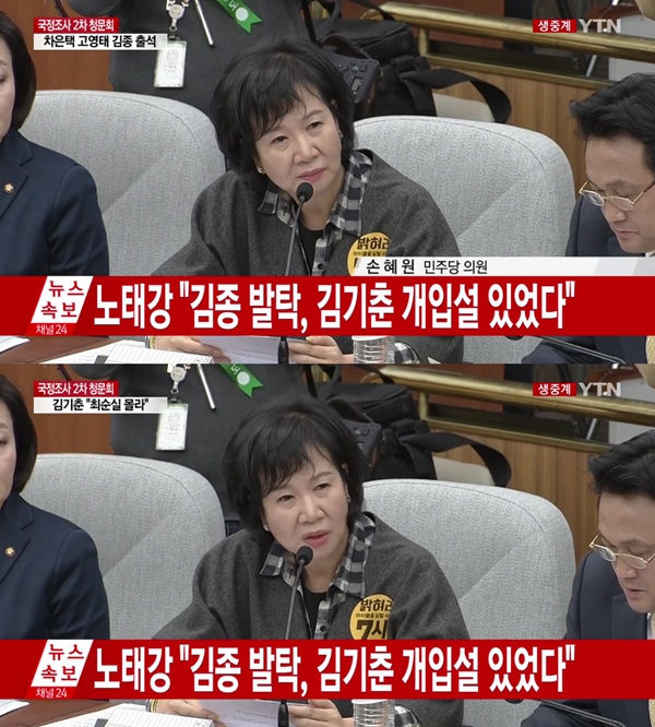 ▲손혜원 더불어민주당 의원(사진=YTN)
