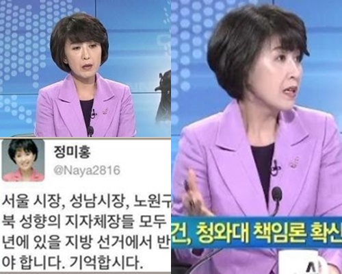 (▲채널A, 정미홍 트위터, KBS 뉴스)