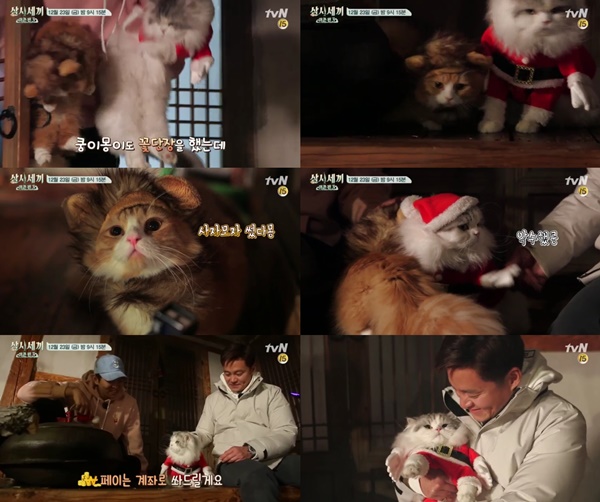 (▲tvN '삼시세끼' 예고편)