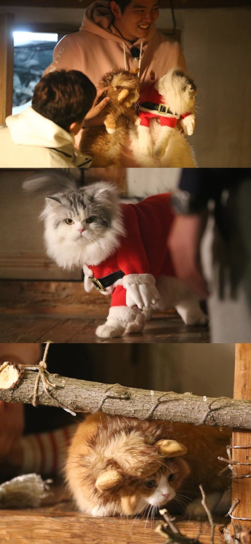 (사진=tvN '삼시세끼')