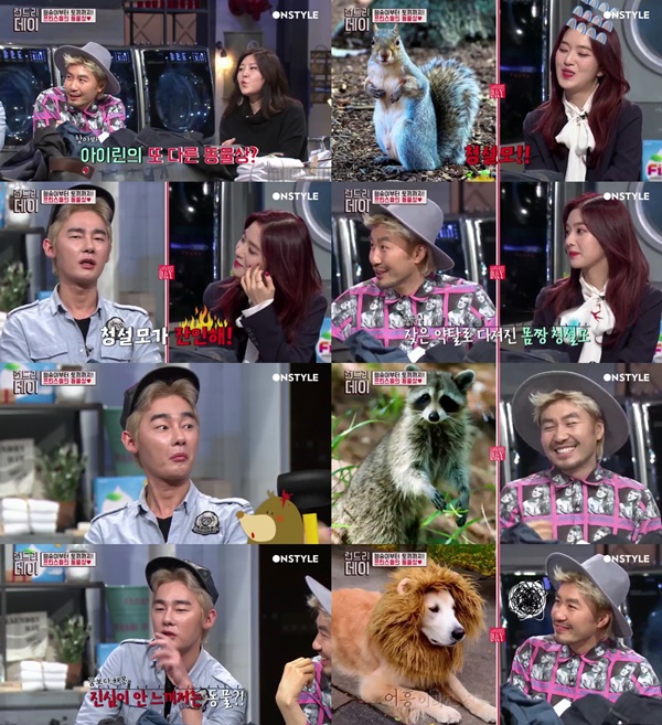 (▲온스타일 '런드리 데이' 도형 아이린,)