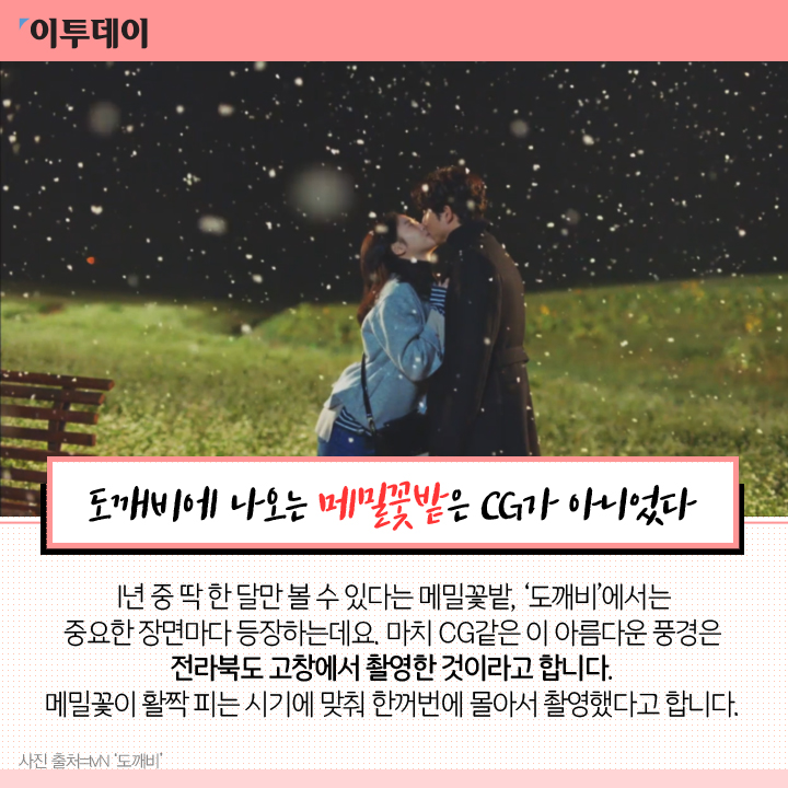 [카드뉴스 팡팡] 도깨비 보았느냐? 그럼 이 비밀도 아느냐?