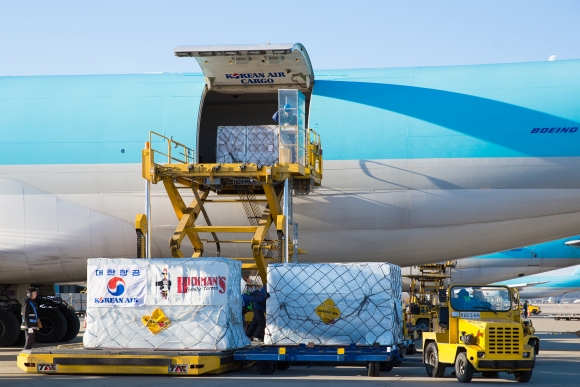 ▲14일 오전 미국 로스엔젤레스공항을 출발해 인천공항에 도착한 특별화물기 KE214편에서 계란 100톤을 하기하고 있다.(사진제공=대한항공)
