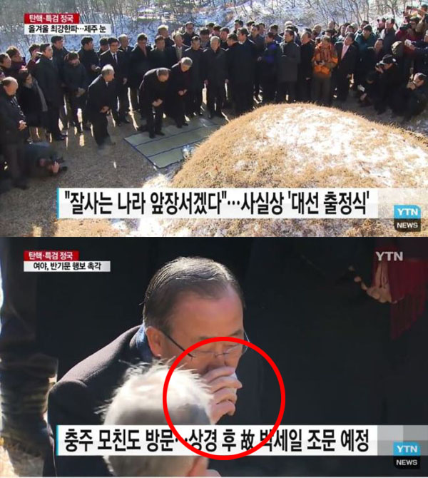 (출처=YTN 화면캡쳐)