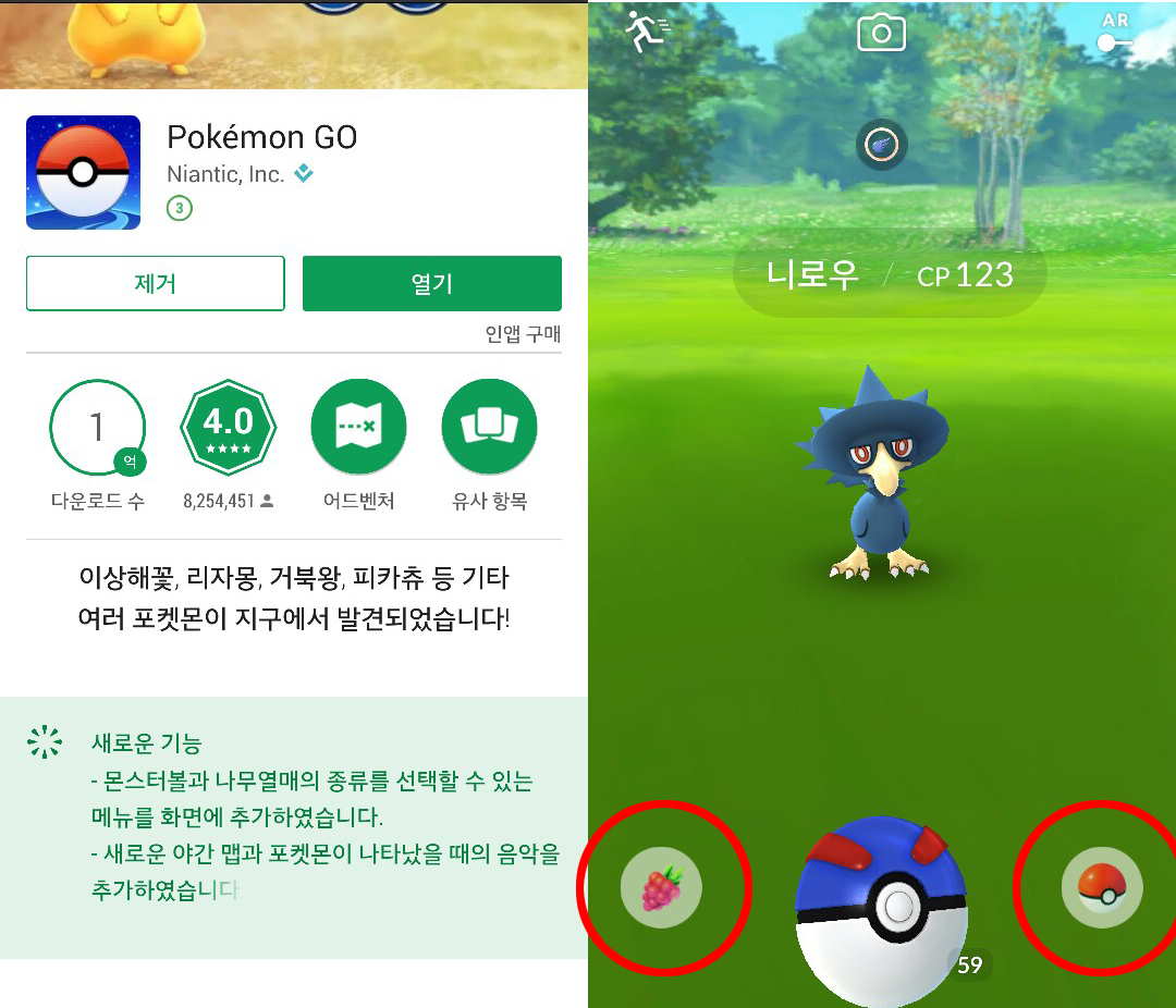 (출처='포켓몬GO'화면 갈무리)
