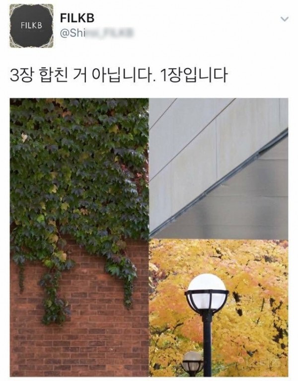 (출처=트위터 'FLK***')