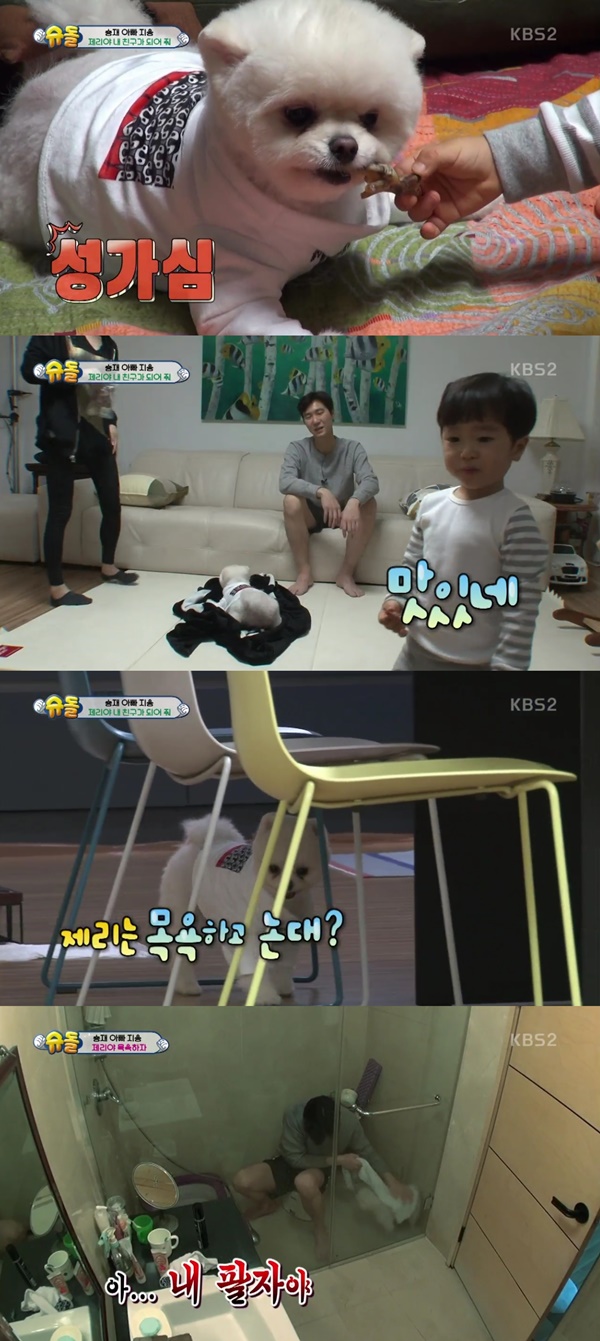 (▲KBS2 '슈퍼맨이 돌아왔다')