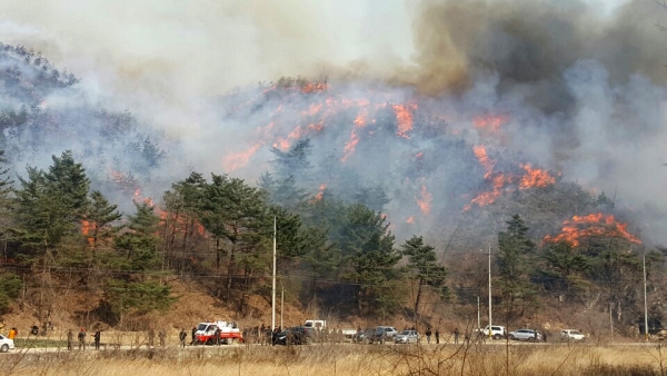 (연합뉴스)