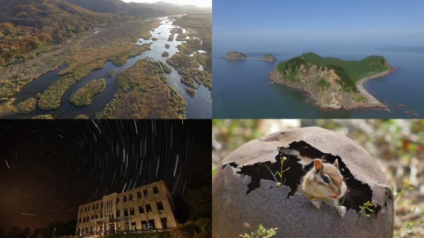 ▲'DMZ, 더 와일드'