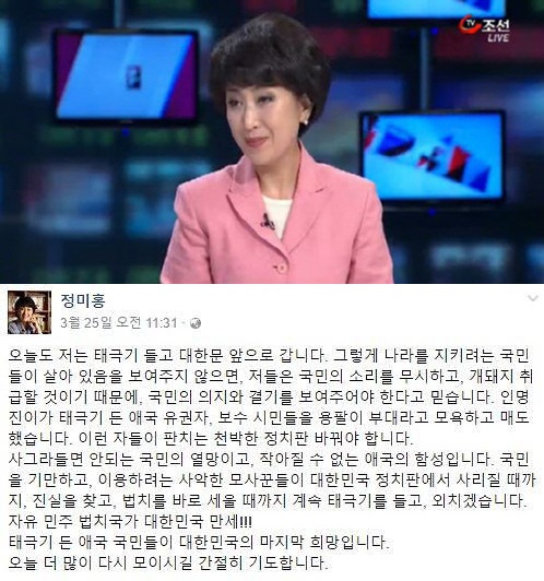 (▲TV조선 '뉴스' 정미홍 페이스북 )