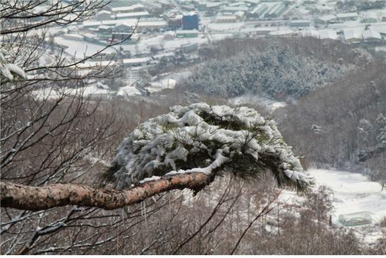 ▲눈속에 파묻힌 하남시. 깊은 겨울에 잠겨 있다(김종억 동년기자)