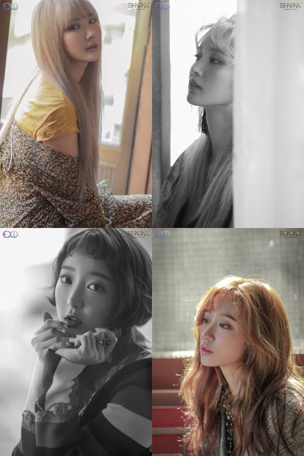▲걸그룹 EXID(사진=바나나컬처)