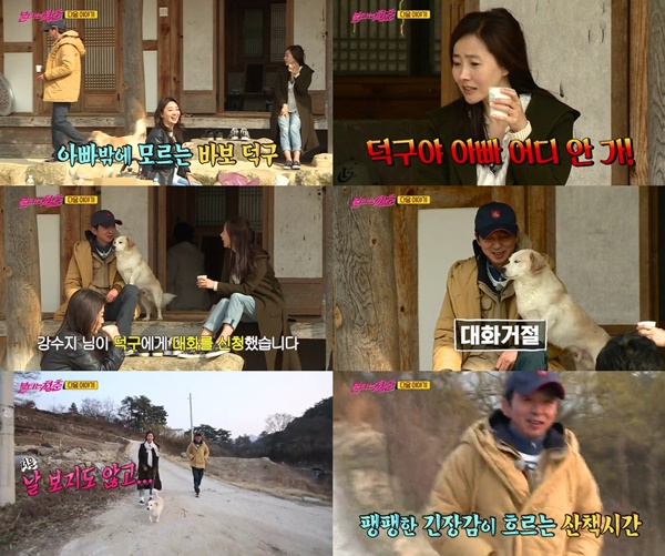 (▲SBS '불타는 청춘' )