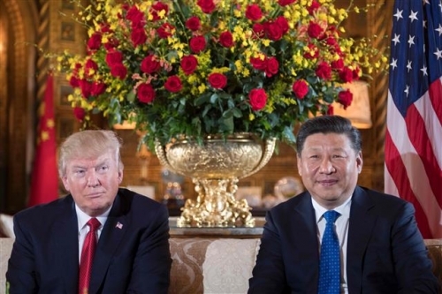 ▲도널드 트럼프 미국 대통령(왼쪽)과 시진핑 중국 국가주석이 4월 6일(현지시간) 마라고에서 회담하며 어색한 미소를 짓고 있다. 플로리다/AFP연합뉴스