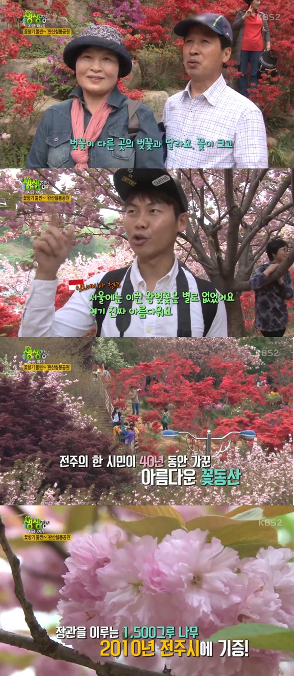 (KBS '생생정보통')