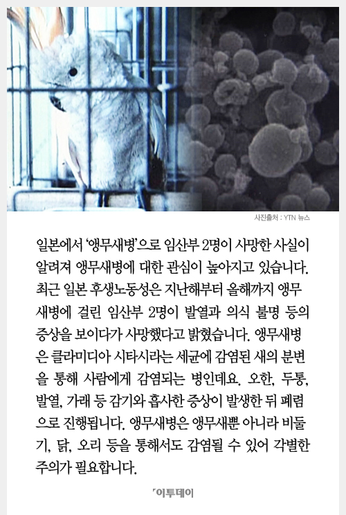 [클립뉴스] ‘앵무새병’이 뭐길래… 앵무새병 증상은?