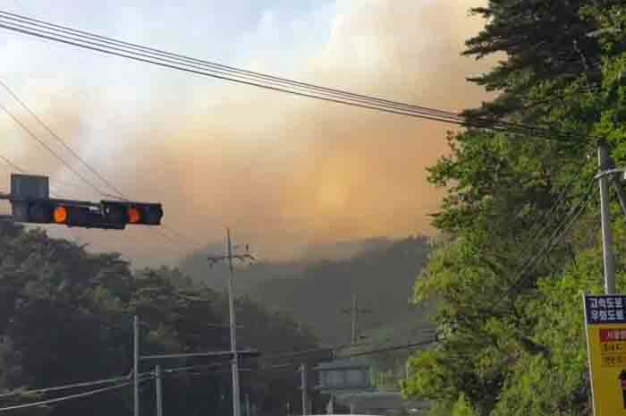 ▲6일 오전 11시 40분께 강원도 삼척시 도계읍 점리에 있는 야산 중턱에서 산불이 났다. (사진=연합뉴스 )