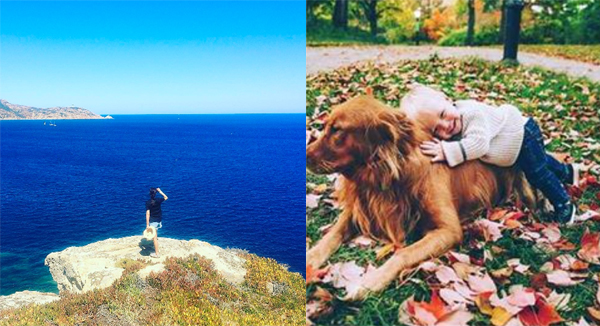 ▲이하늬, 남규리 등 스타들이 대한민국 제19대 대통령 문재인을 향해 자신의 바람을 드러냈다. (사진=인스타그램)