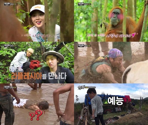 (▲SBS '정글의 법칙')