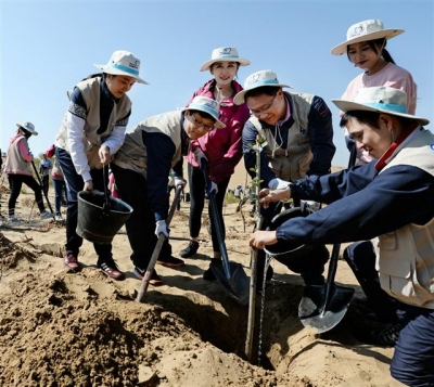 ▲중국 네이멍구(內蒙古) 쿠부치 사막에서 나무 심기 봉사활동에 참가한 채종훈 대한항공 중국지역본부장(왼쪽에서 두번째)과 대한항공 직원 및 중국 대학생들이 나무 심기 봉사활동을 하고 있다. 사진제공 대한항공
