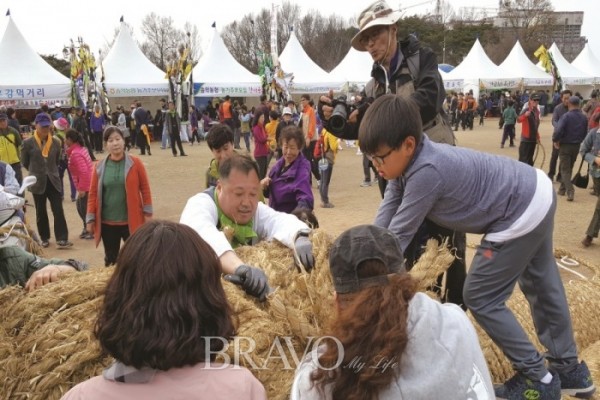 ▲줄다리기 행사를 끝낸 후 줄의 중심 부분을 잘라 집으로 가져가는 사람들. 예로부터 이 줄을 달여 마시면 병이 낫고, ‘아들을 못 낳는 여인이 먹으면 득남한다’는 속설 때문이라고.(권지현 기자 9090ji@etoday.co.kr)