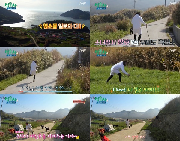 (▲tvN '섬총사' 태항호)