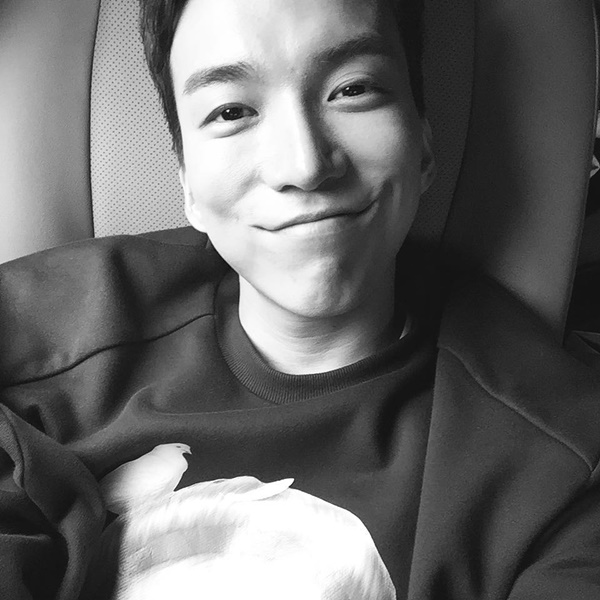 (사진=도상우 인스타그램)