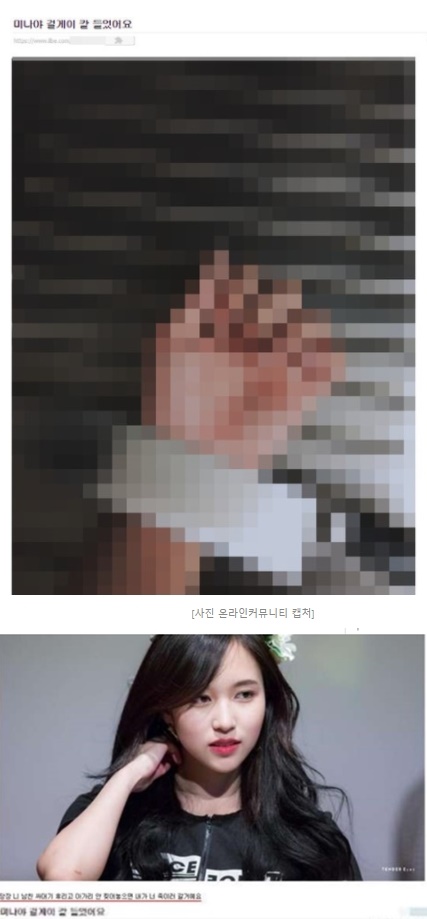 (▲온라인 커뮤니티 '일간베스트')