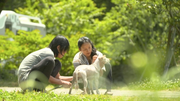 ▲JTBC 신작 '효리네 민박'(사진=JTBC)
