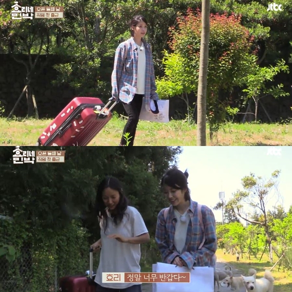 ▲'효리네민박' 아이유, 이효리(출처=JTBC '효리네민박' 영상 캡처)