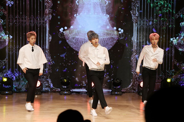 ▲보이그룹 헤일로(사진=하이스타)